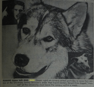 cornell_tripod_1958_2